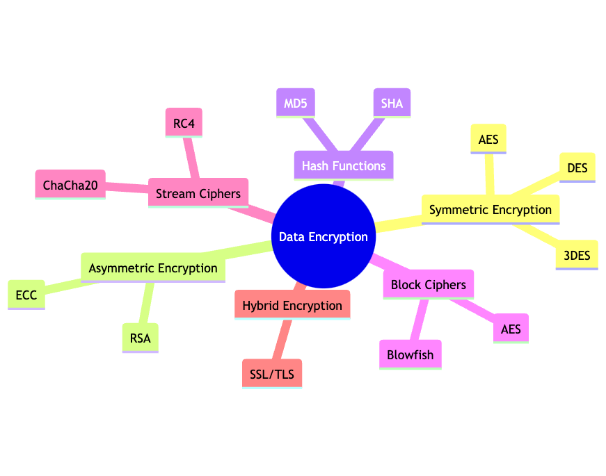 Data Encryption Types